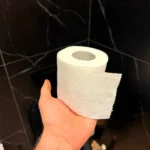 Arra kérik az embereket, hogy ne használjanak WC papírt