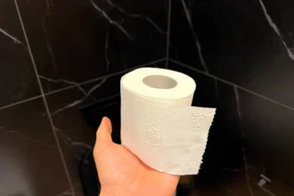 Arra kérik az embereket, hogy ne használjanak WC papírt