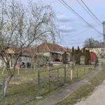 Az 1990-es évek legnagyobb borzalma ismét elárasztotta a kerteket Magyarországon, az emberek kifosztják a barkácsáruházakat