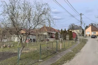 Az 1990-es évek legnagyobb borzalma ismét elárasztotta a kerteket Magyarországon, az emberek kifosztják a barkácsáruházakat
