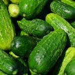 Nem hinnénk, de ezt teszi a kovászos uborka a szervezetünkkel