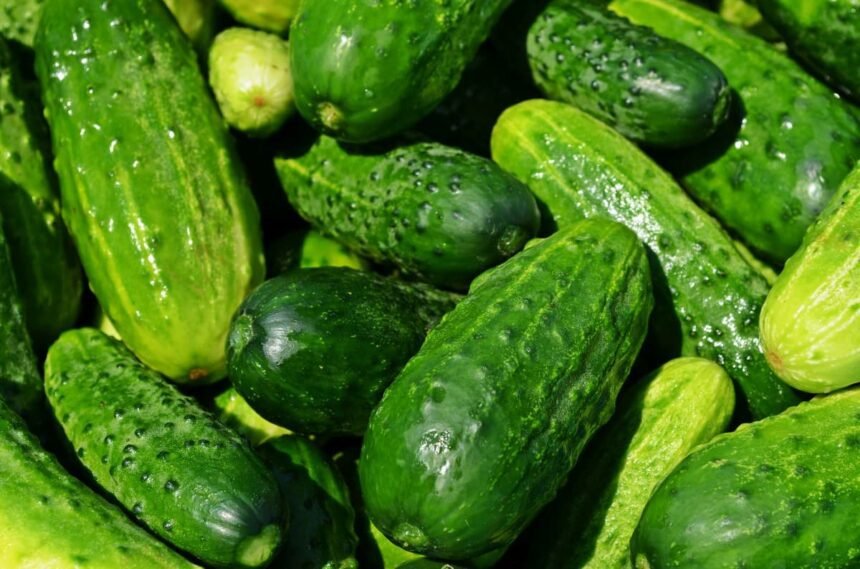 Nem hinnénk, de ezt teszi a kovászos uborka a szervezetünkkel