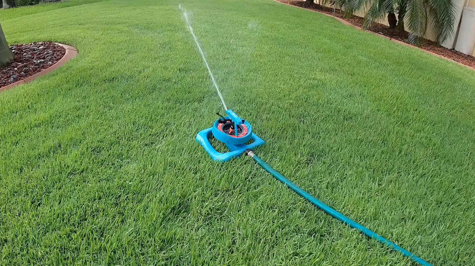 Reggel, délben vagy este kell locsolni a gyepet, hogy olyan zöld legyen, mint egy golfpályán? A választ kevesen tudják