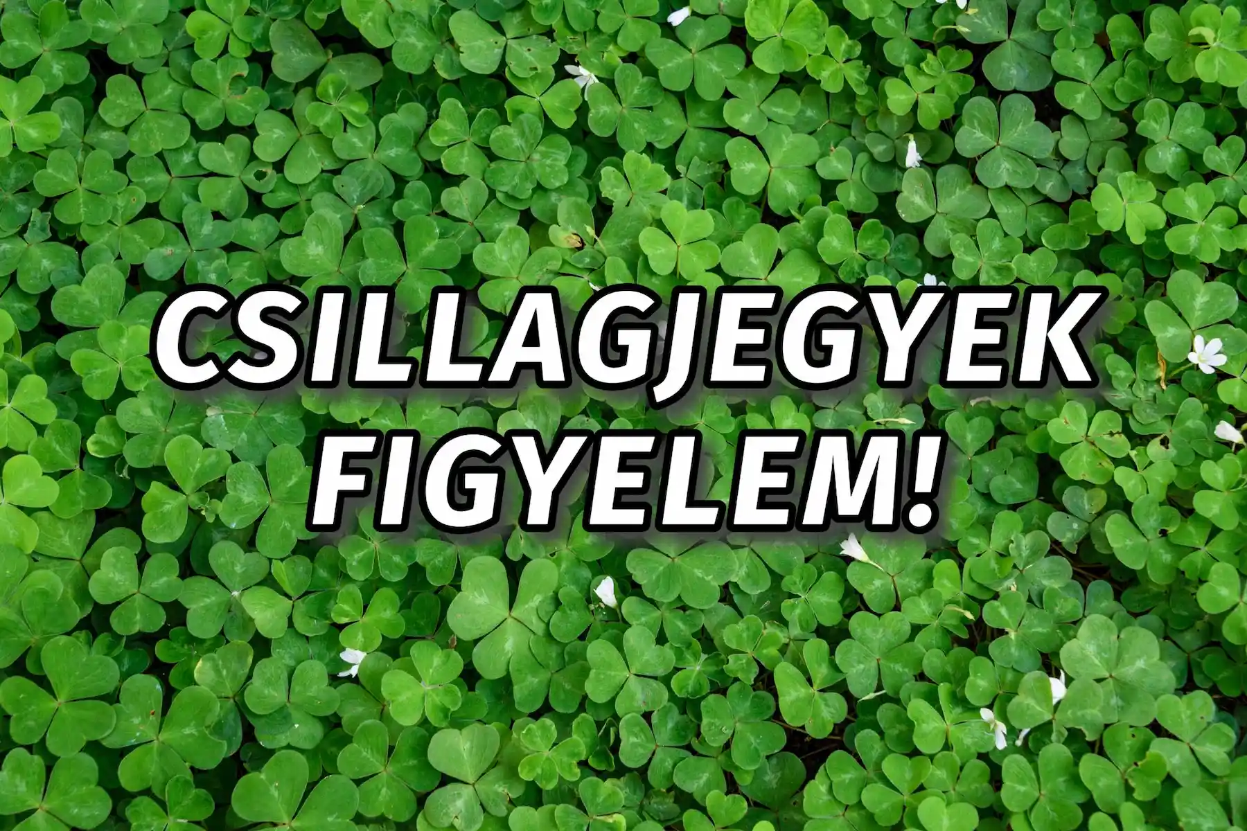 Megfordul a szerencséjük: 5 csillagjegynek olyan hét jön, amire sokáig emlékezni fog