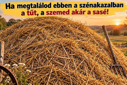 Ha megtalálod ebben a szénakazalban a tűt, a szemed akár a sasé!