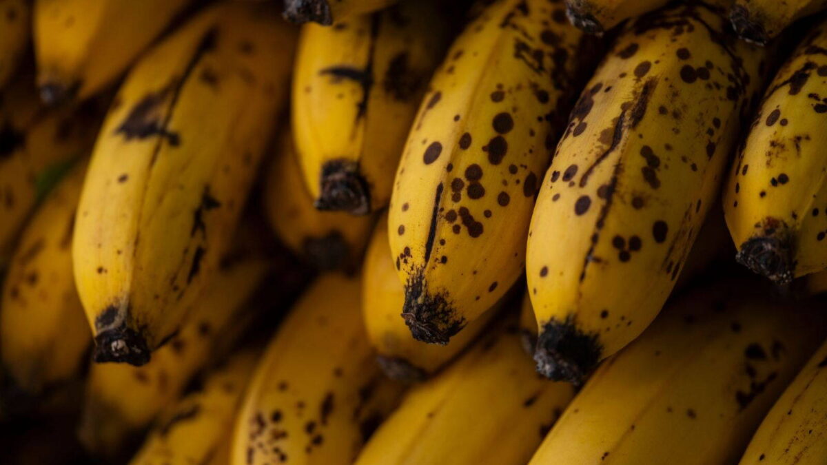 Barna pöttyös, érett banánfürtök