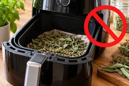 Fűszernövényt szárítanál az air fryerben a fagyok előtt? Egyes gyártók kifejezetten tiltják