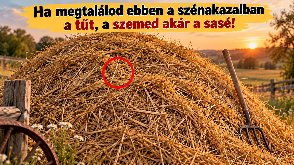 Ha megtalálod ebben a szénakazalban a tűt, a szemed akár a sasé!