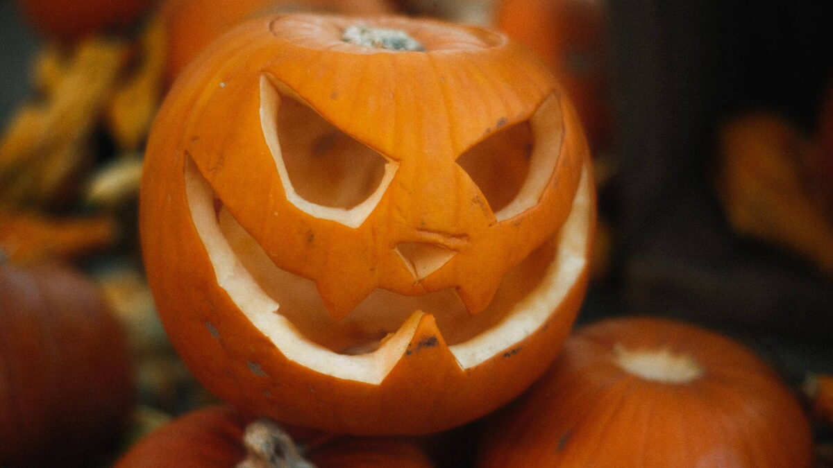 Kifaragott halloweeni tök más tökök között