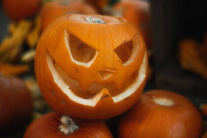 Mit kezdj a kifaragott tökkel halloween után? A sünöknek ne vidd ki a kertbe