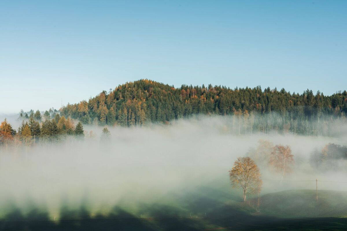 Ködös őszi táj dombokkal