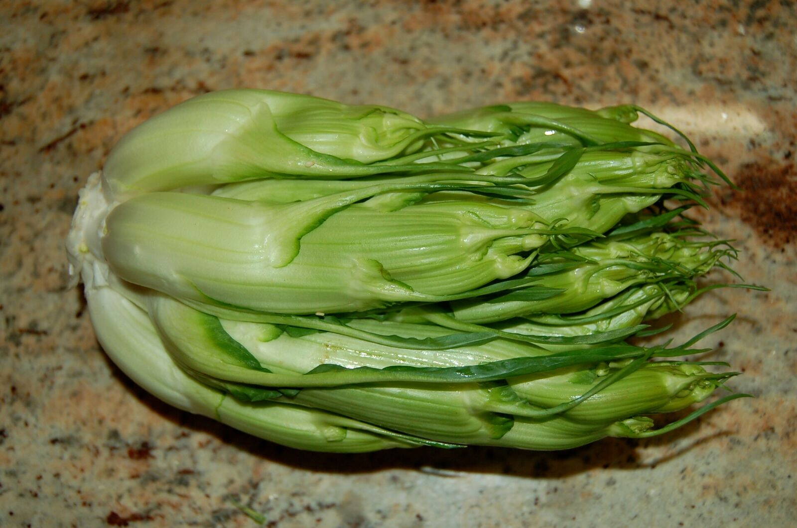 Puntarelle egy torinói piacon