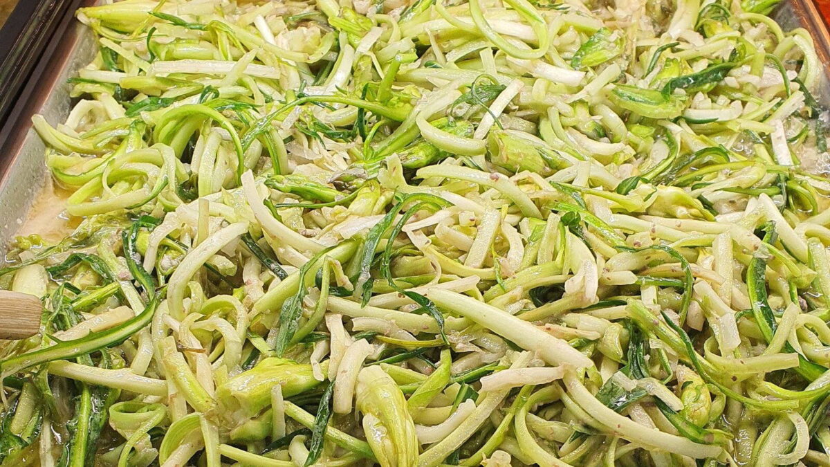 Puntarelle, a katalán cikória spárgaszerű hajtásai
