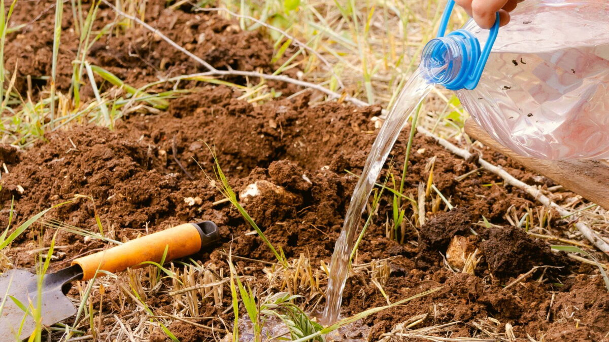 Föld locsolása PET-palackból a kertben