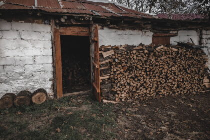Ne a ház falához rakd a tűzifát: így marad száraz, és egér sem költözik bele