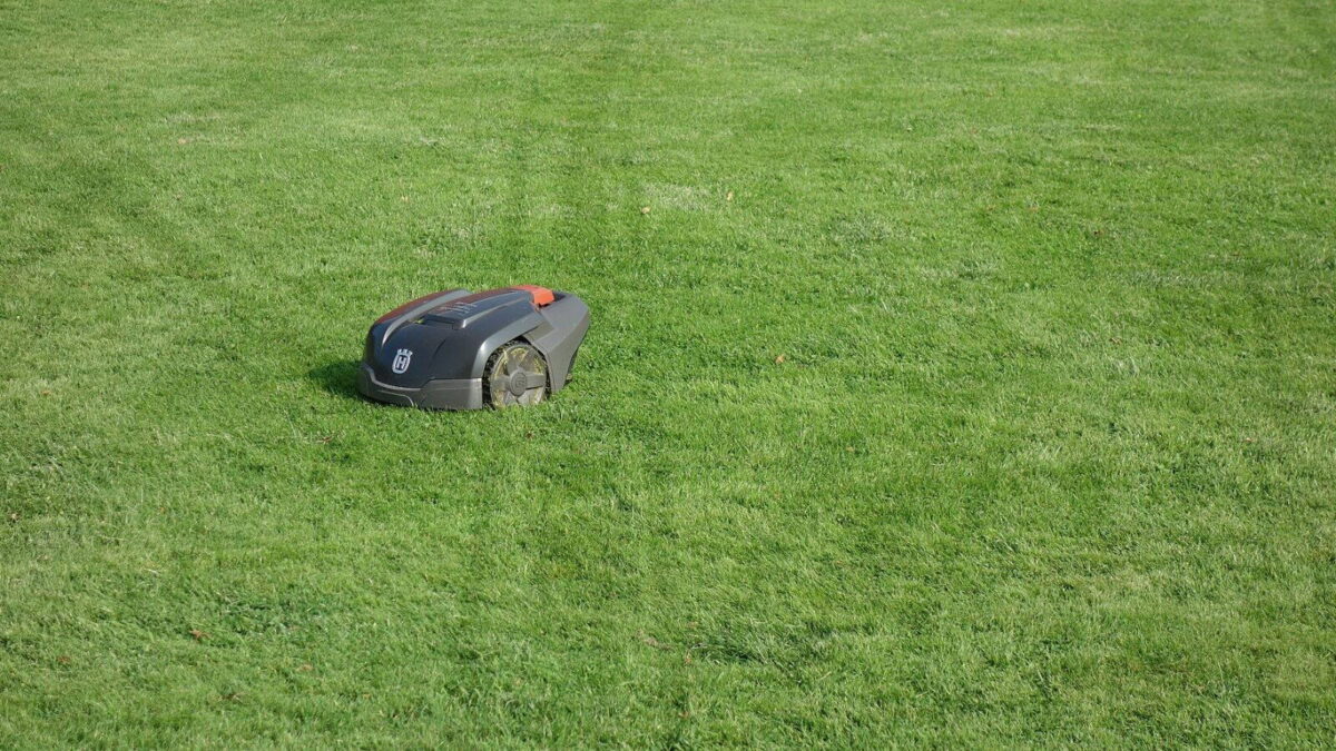 Robotfűnyíró a gyepen, a szezon utolsó heteiben